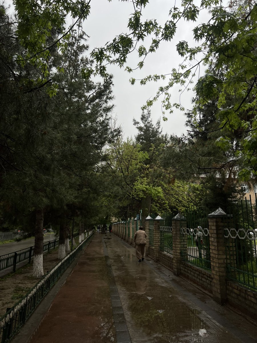 Сумайя tweet media