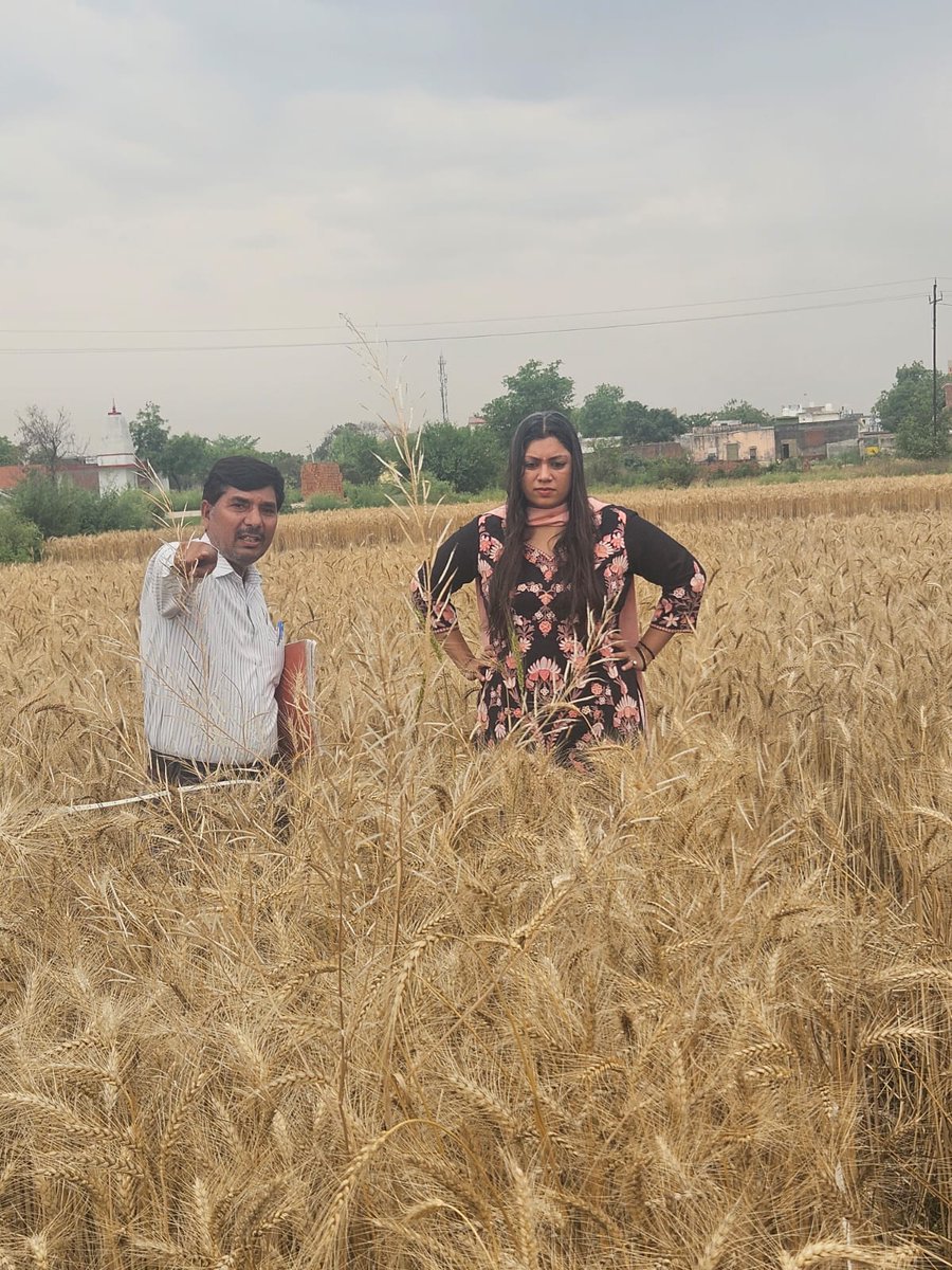 Medha Roopam tweet media