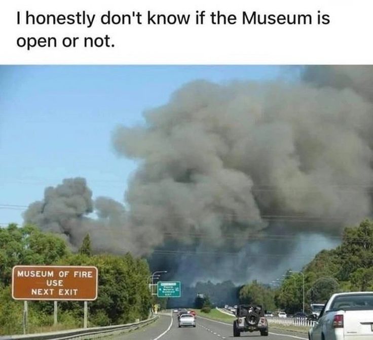 Wolf of X tweet media