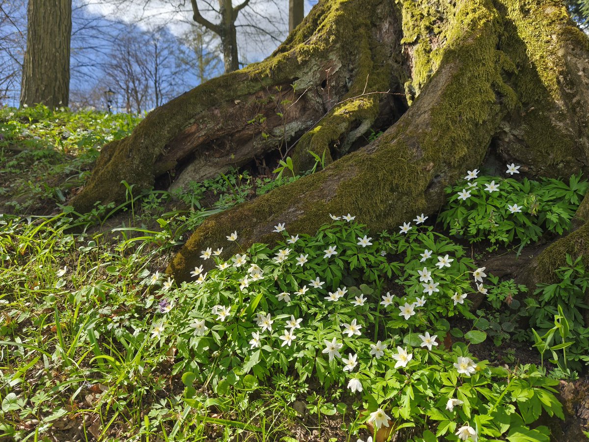 Anna Klis tweet media