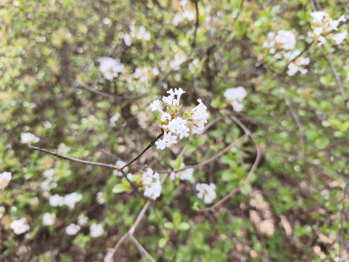 Anna Klis tweet media