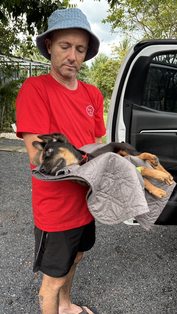 Niall Harbison tweet media