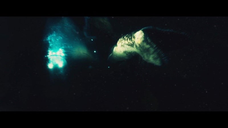 映画公爵 tweet media