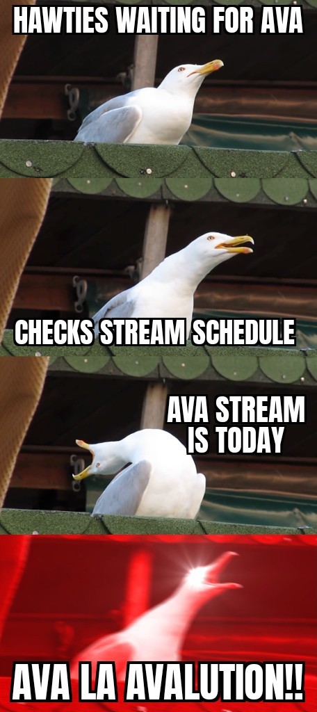 SunSoma 🎼🗣️ tweet media