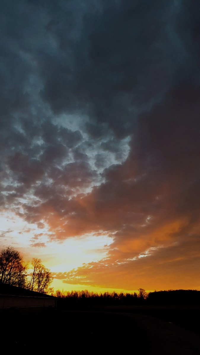 Howl at the Moon tweet media