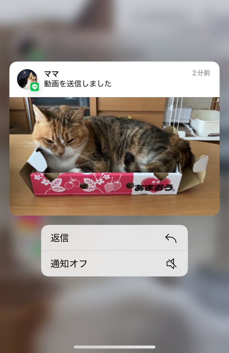 cchcchai's tweet photo. あまおう破壊 https://t.co/IOCWyFqEyO