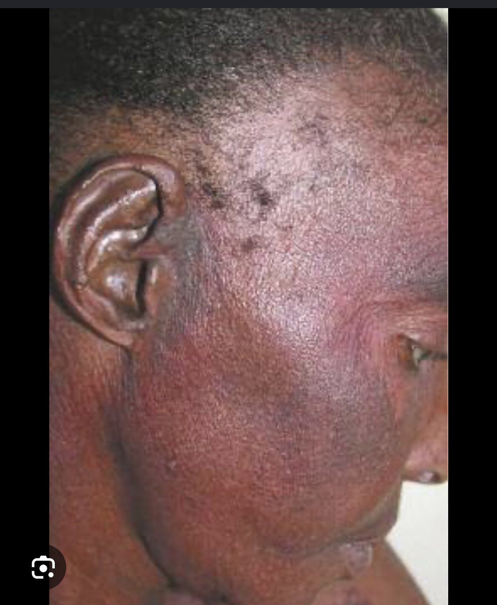 225🇨🇮 tweet media