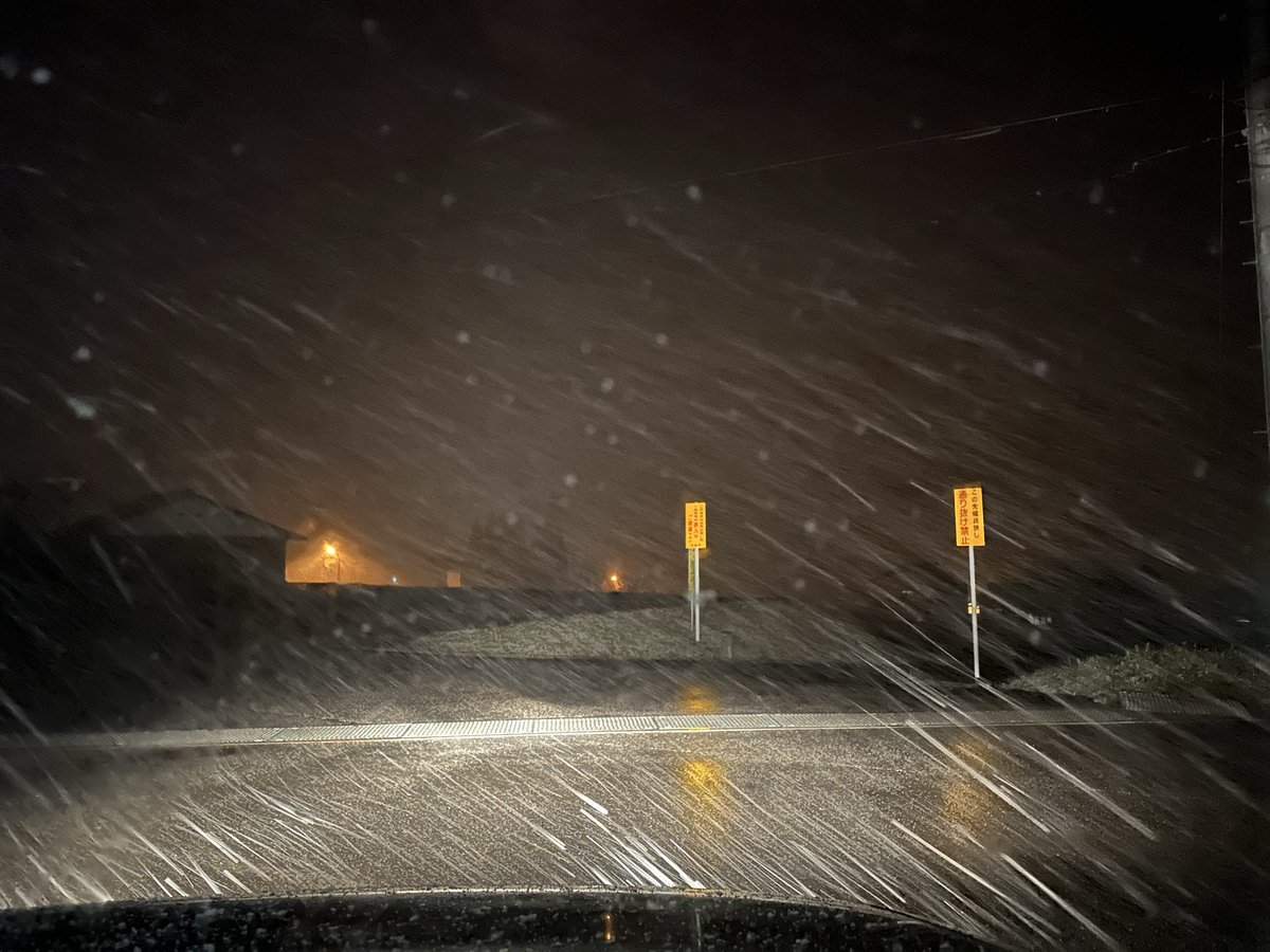 Yukida Ruma tweet media