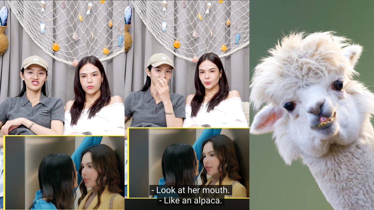 Betta_Luv 🐤 tweet media