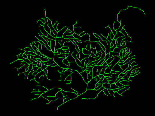 NeuroMorpho.Org tweet media