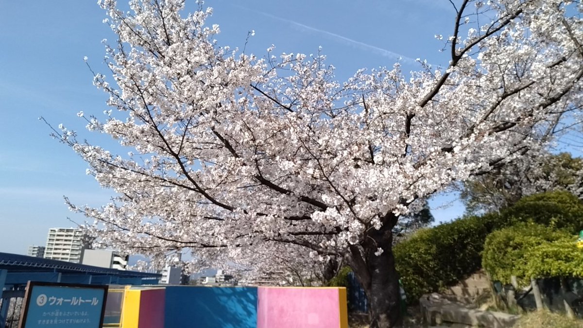 yn@8歳娘+5歳息子 tweet media