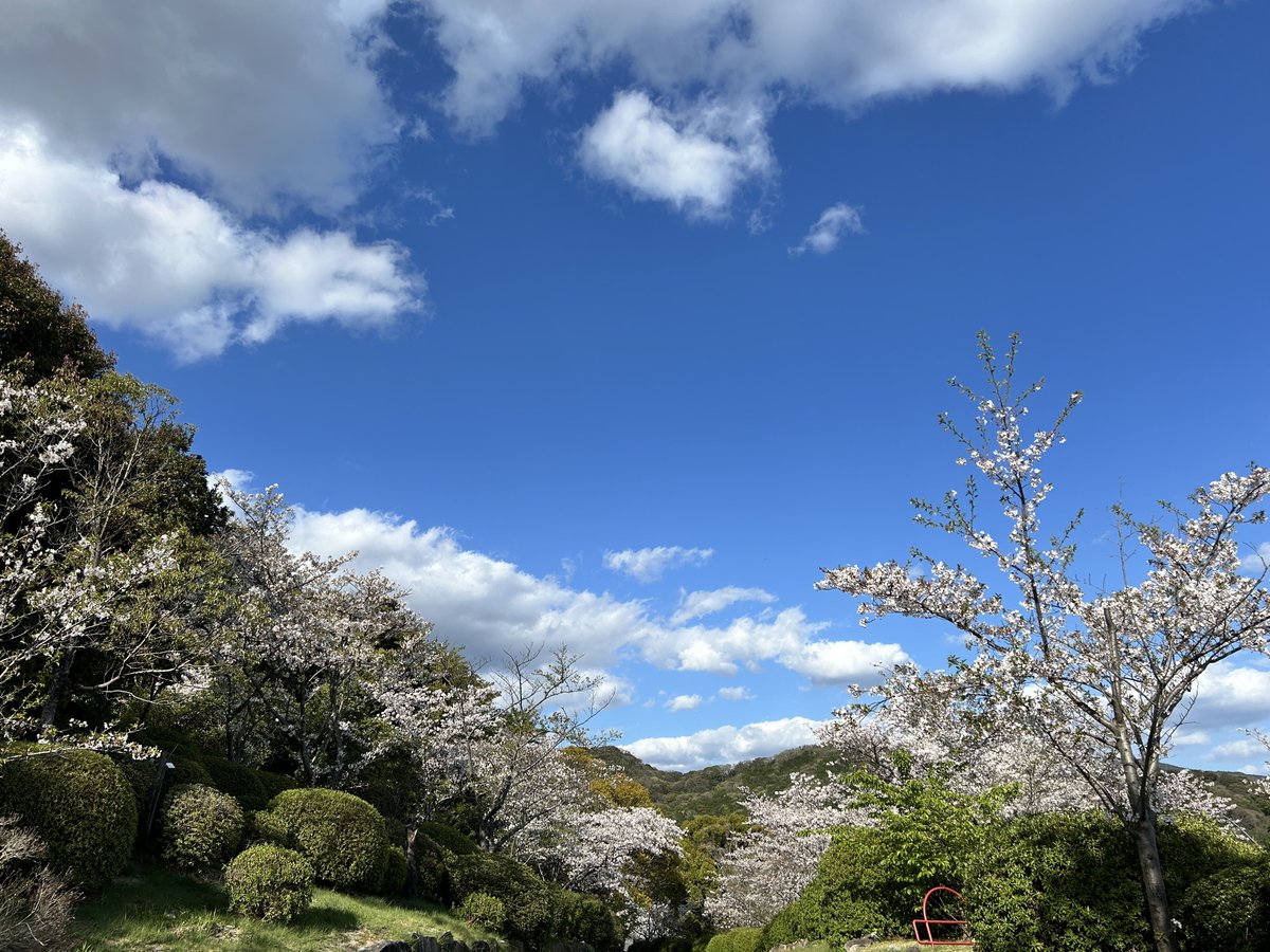 奏ちよこ Chiyoko Kana tweet media