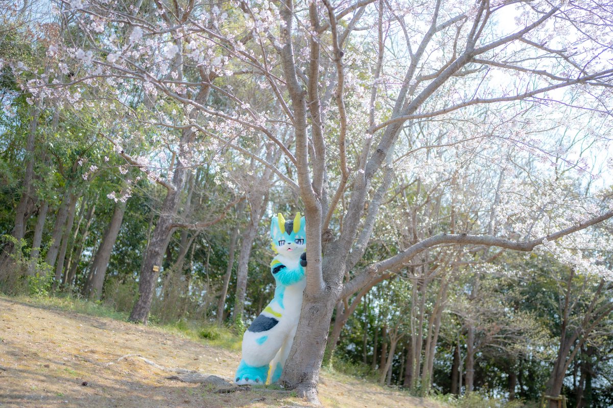 やーさん📸🐶🐉ジーラン tweet media