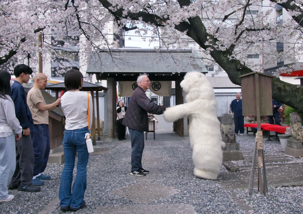 一寸帽子 tweet media