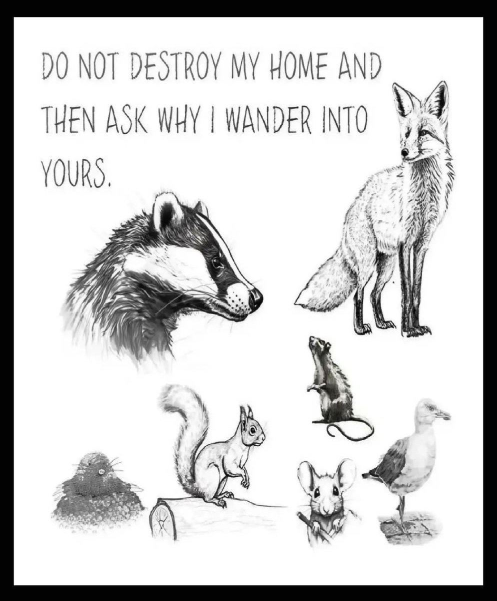 Thursday tweet media