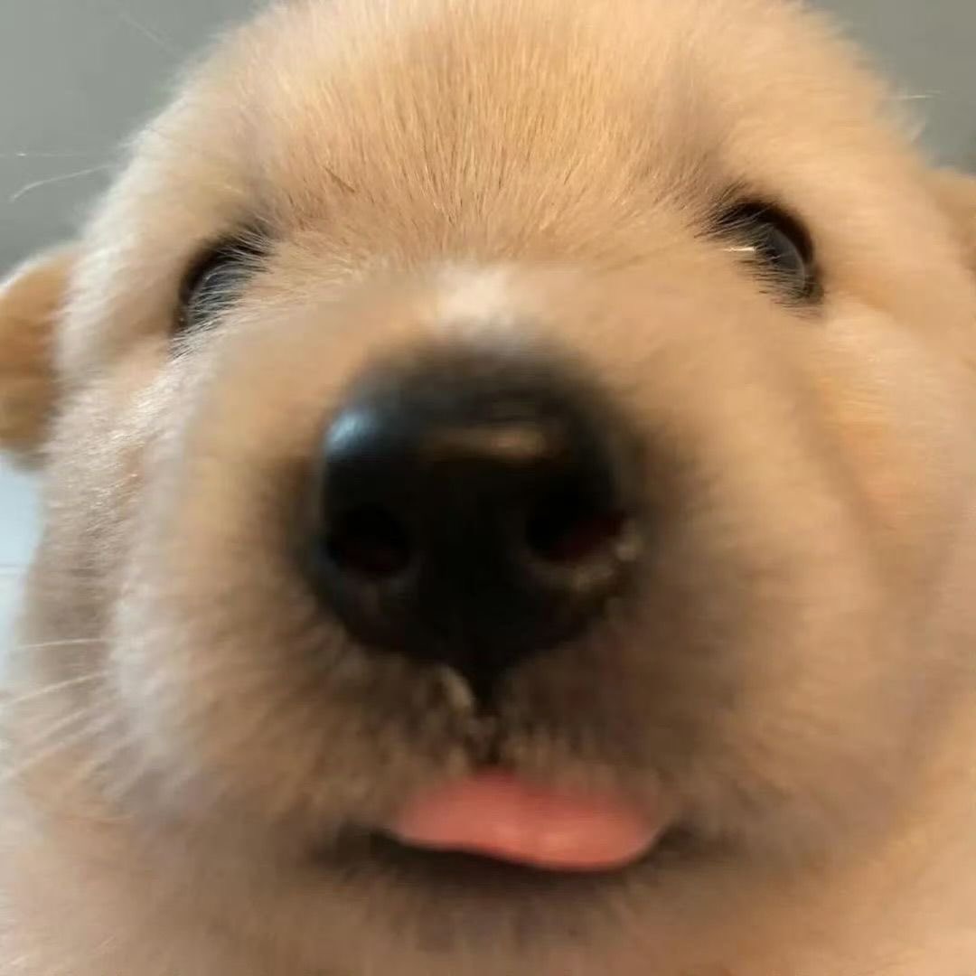 shyla ྀིྀ tweet media