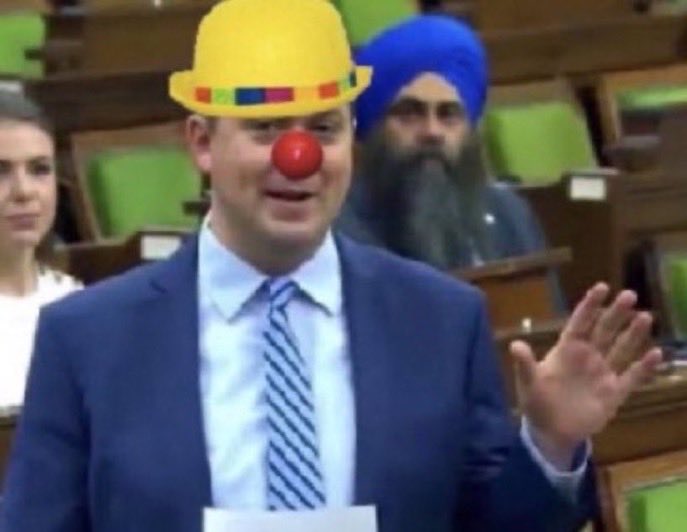 SueConal tweet media