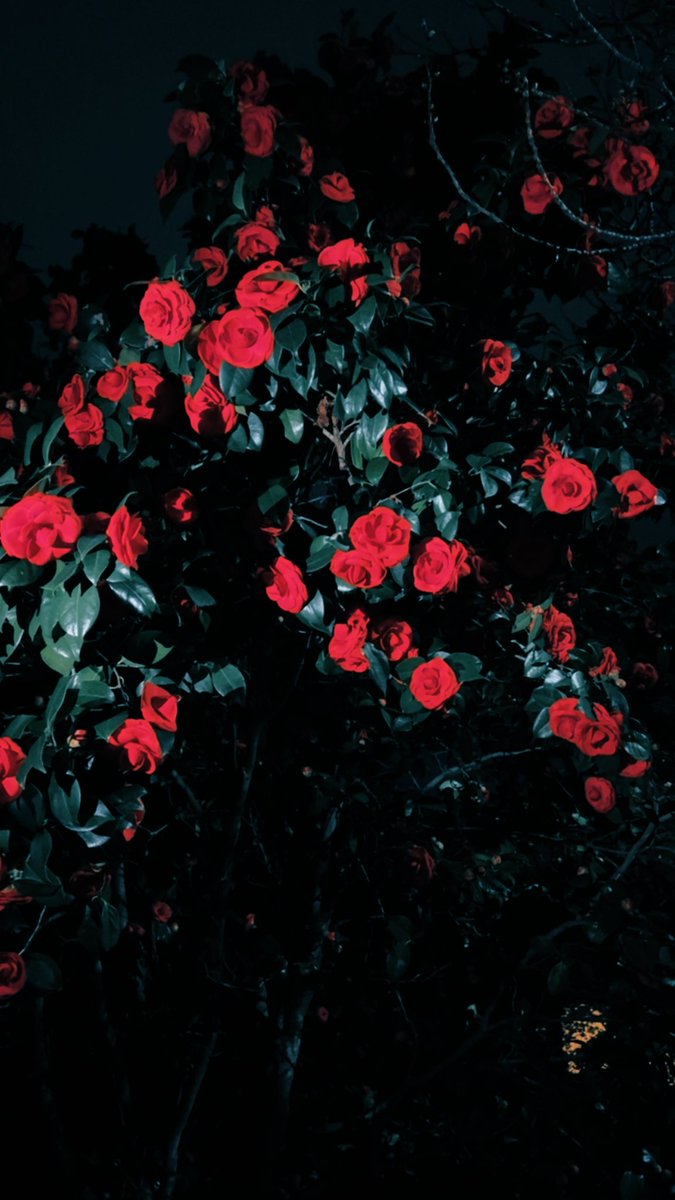 東田 旧作 tweet media