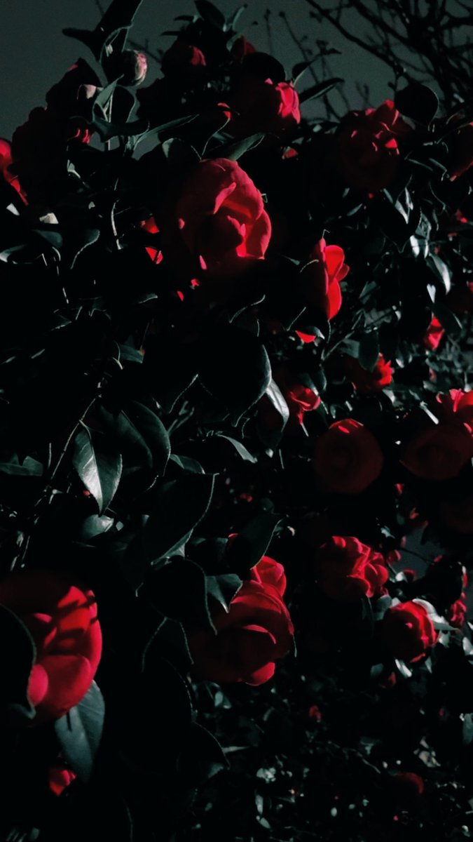 東田 旧作 tweet media