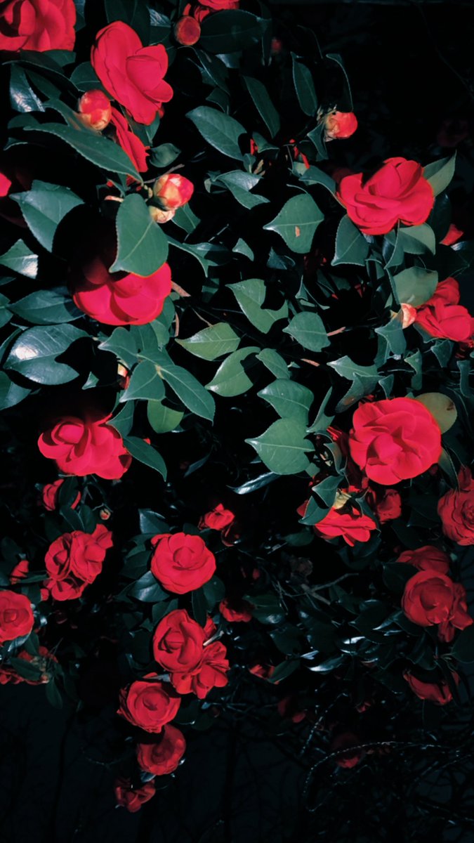 東田 旧作 tweet media