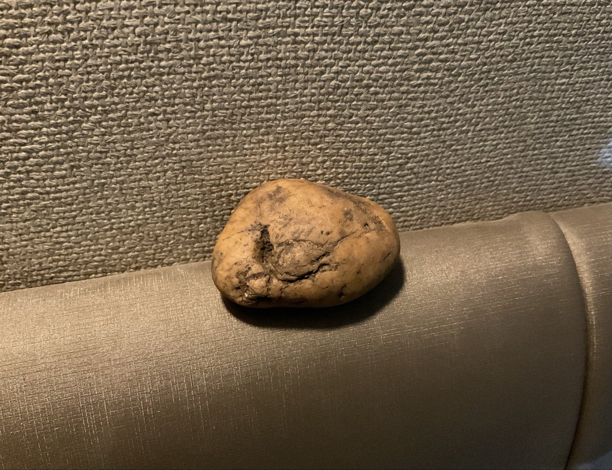 魚須えり個 tweet media