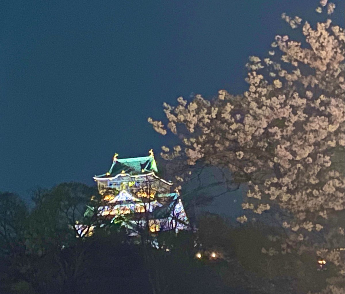 🍀絢音🍀 tweet media