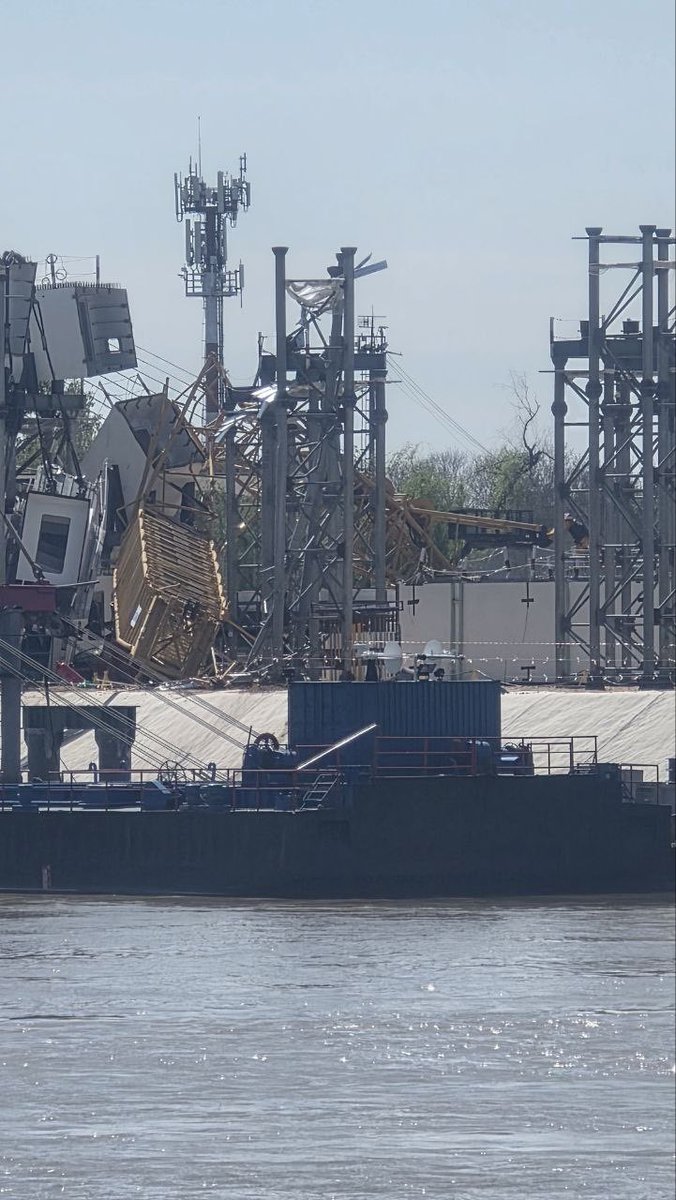 Natalija Stojmenović tweet media