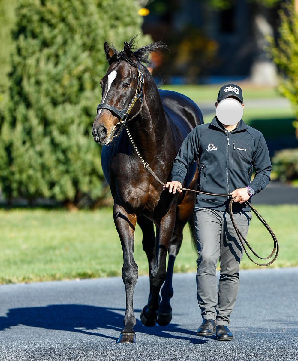 Nakayama-San tweet media
