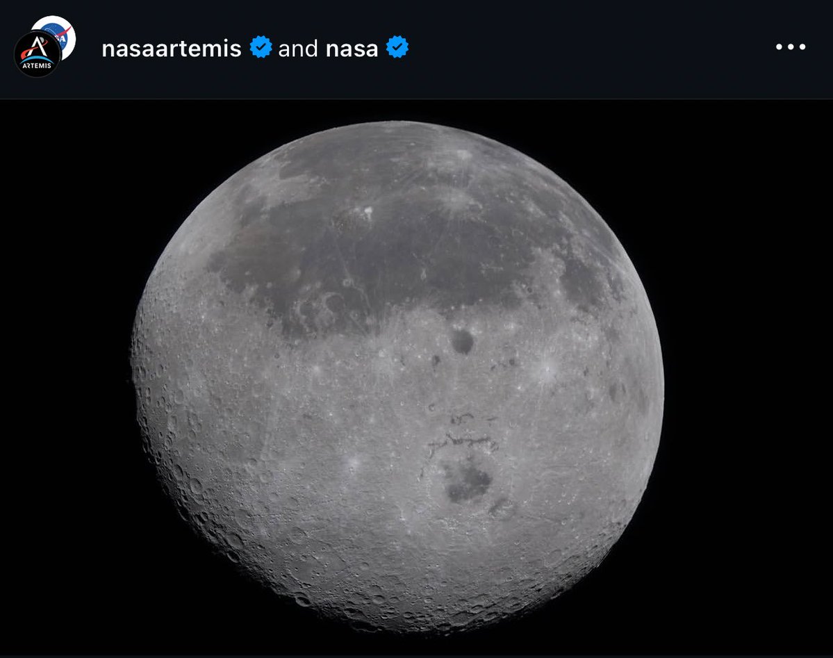 IAmHaule tweet media