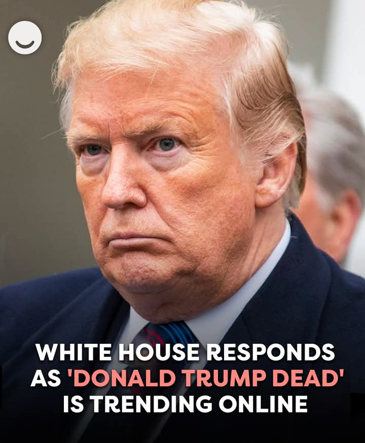 Dan Cruz (@dancruz1955) on Twitter photo 