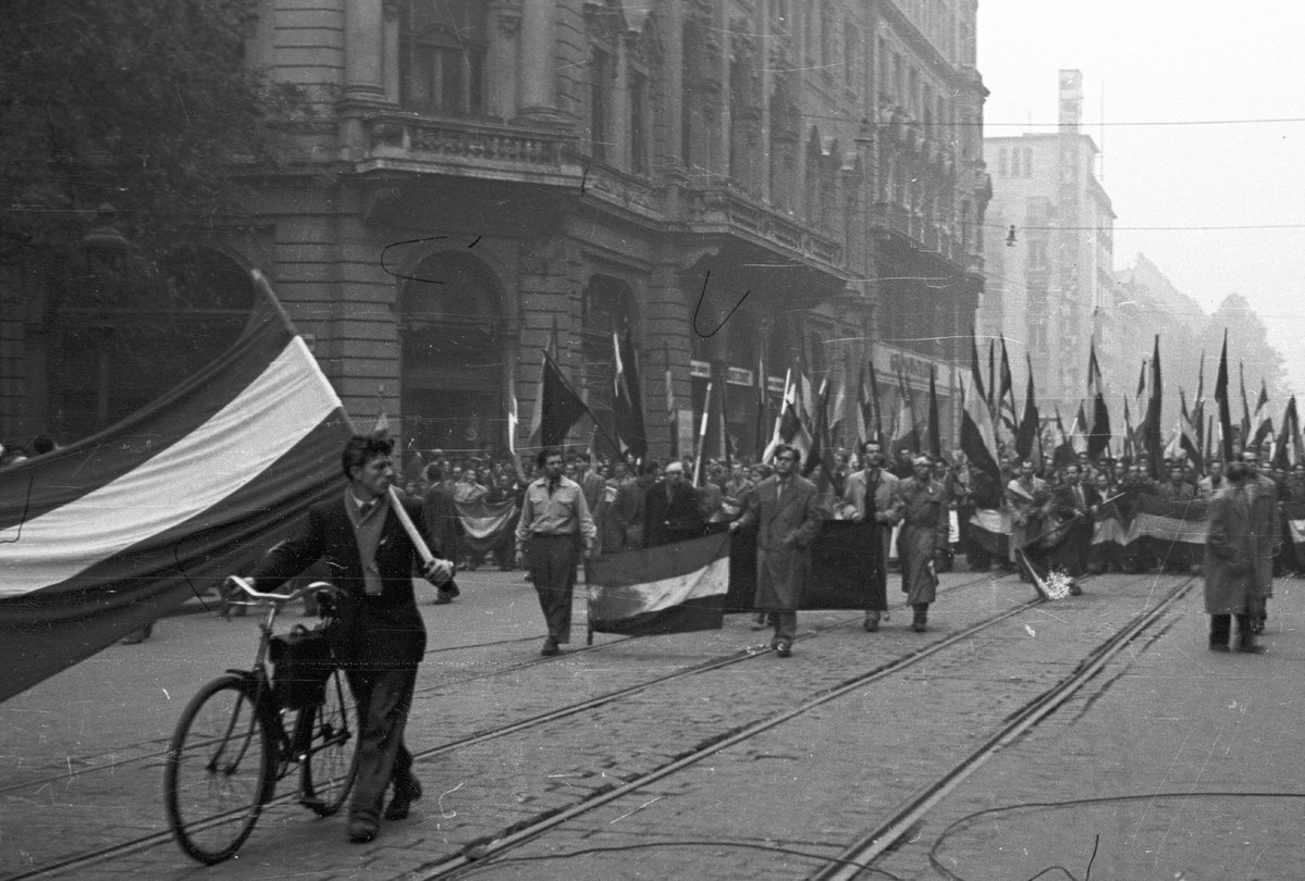 Tibor M. Kalman tweet media