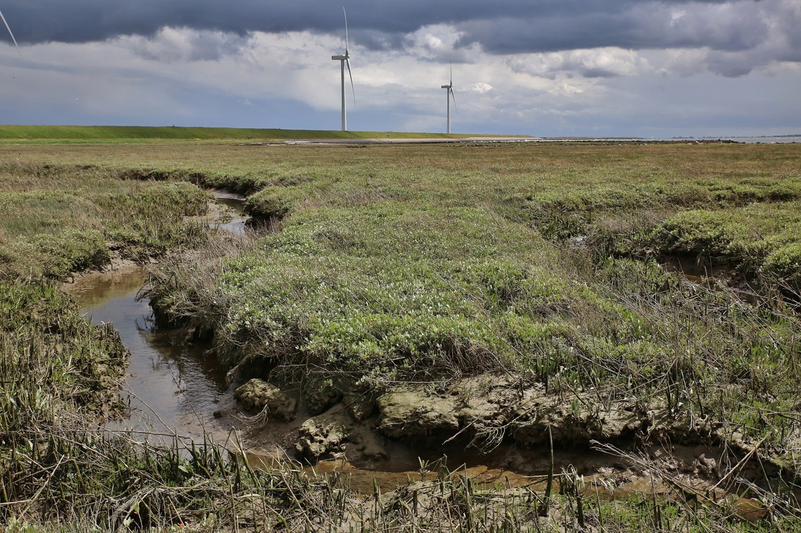 Provincie Zeeland tweet media