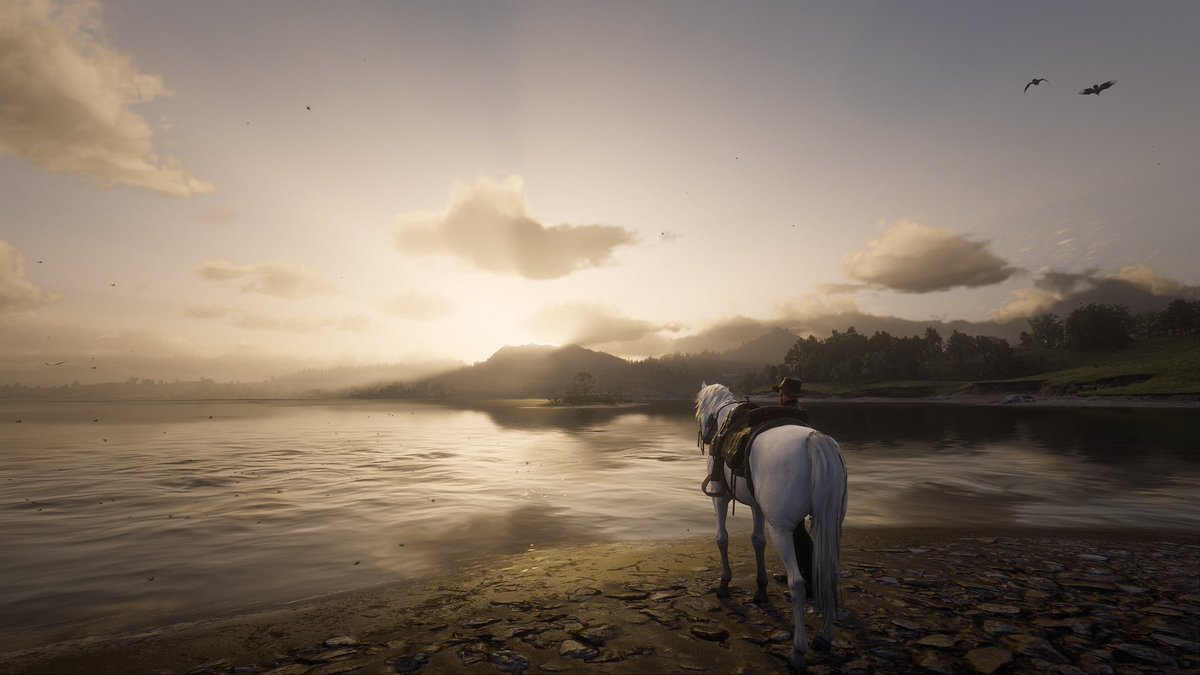 Annie 🌸 tweet media