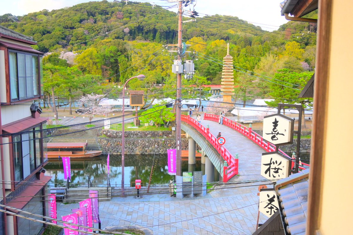 コイ太郎 tweet media