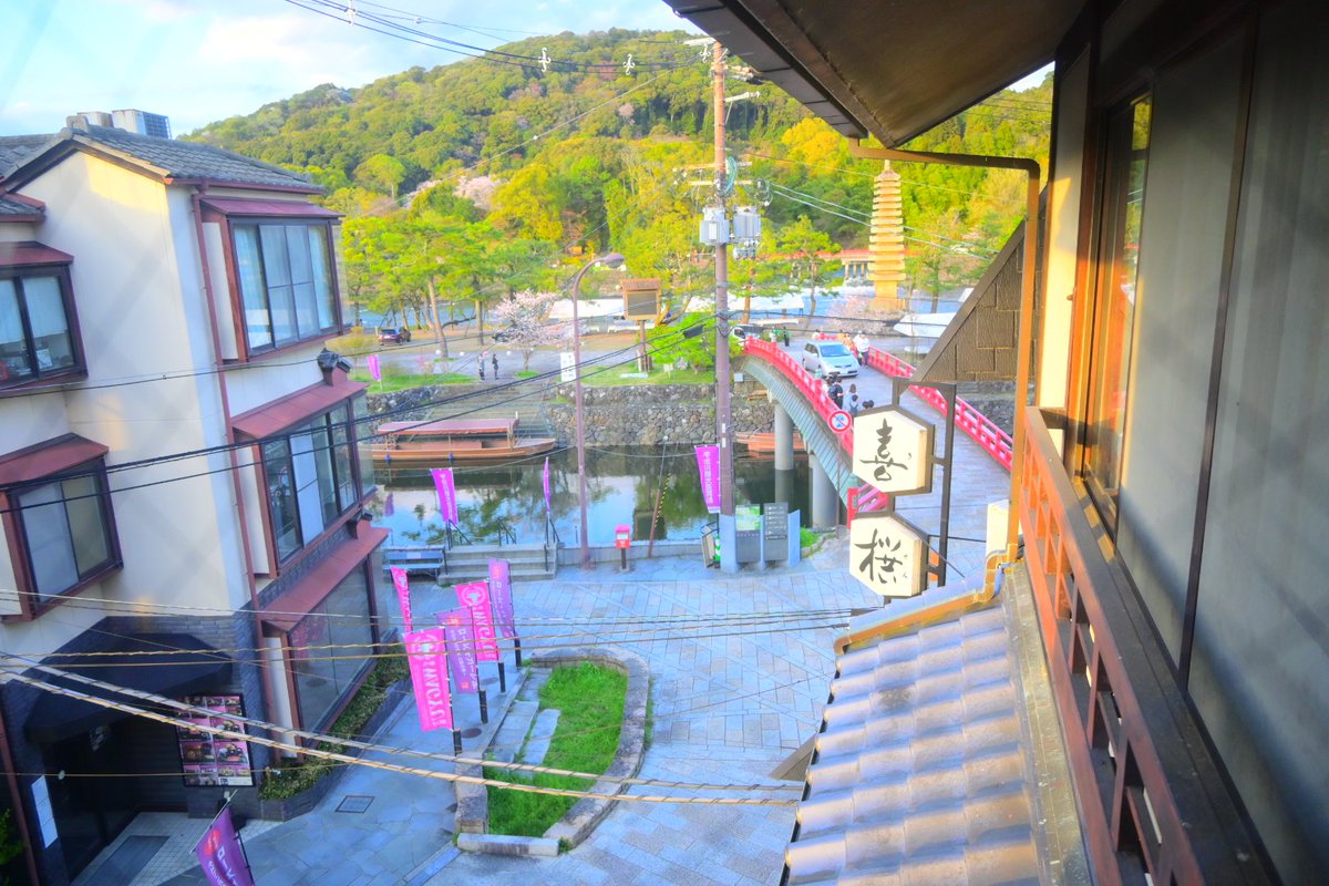 コイ太郎 tweet media