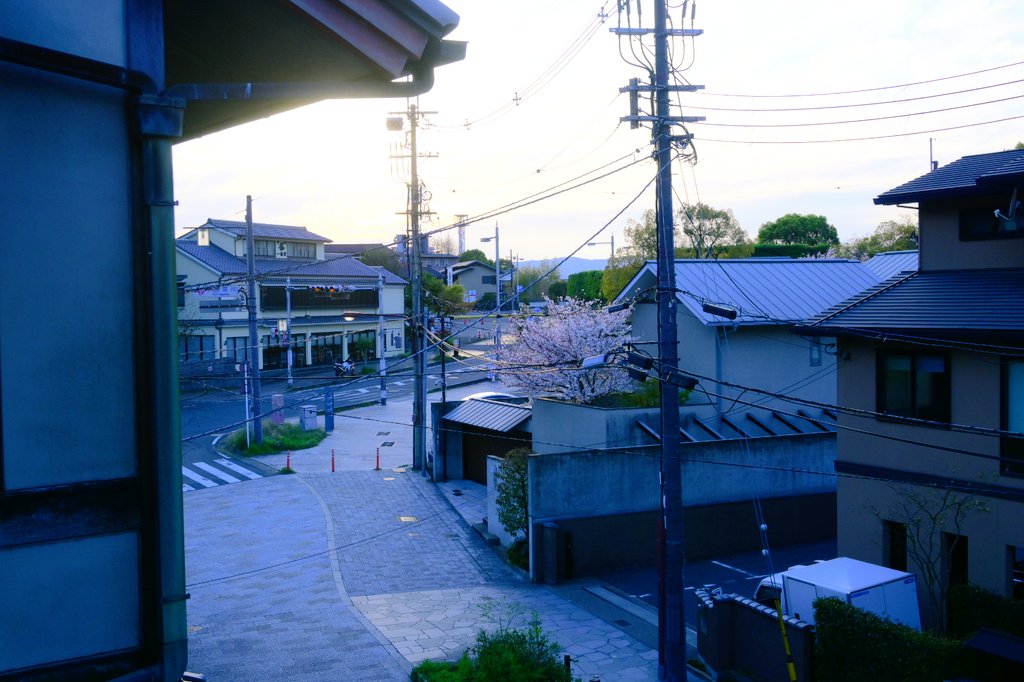 コイ太郎 tweet media