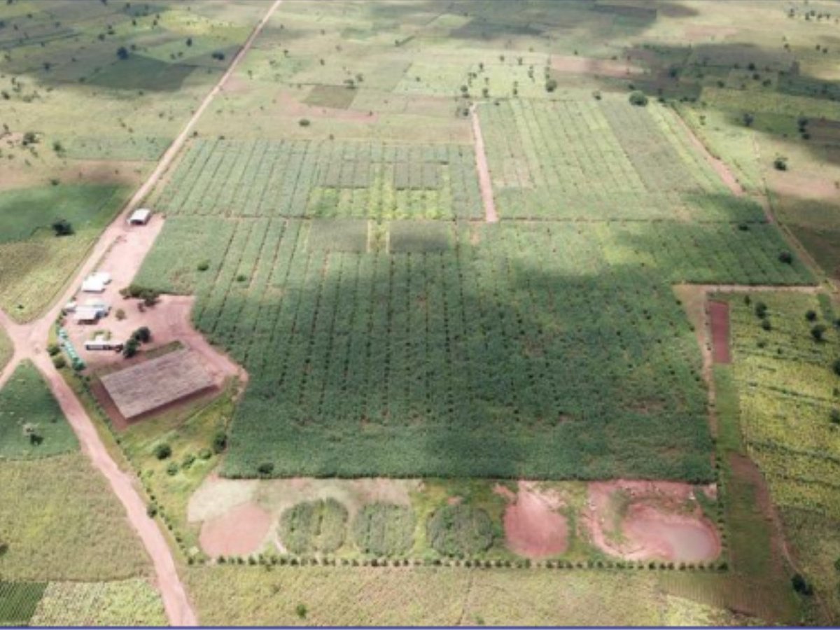 Mining Review Africa tweet media