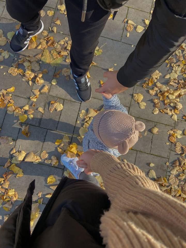 _i80ii's tweet photo. one day with our cat ♥️ https://t.co/GXwA0NqTah