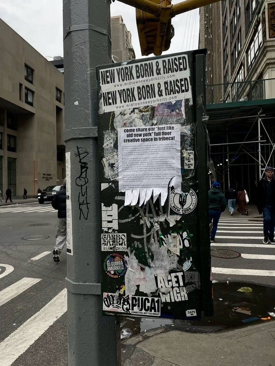 8kerdl ⭑ tweet media