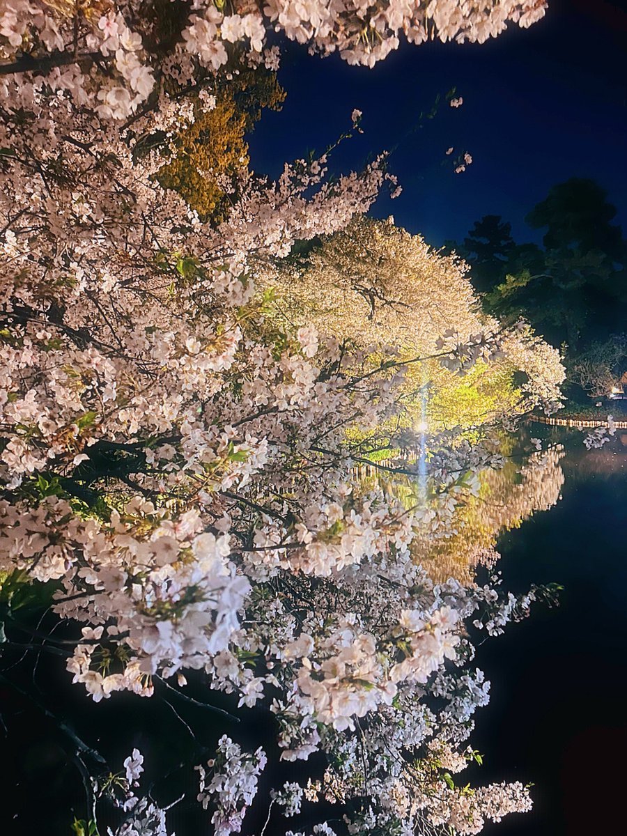 🐸松原瑚春🐸 tweet media