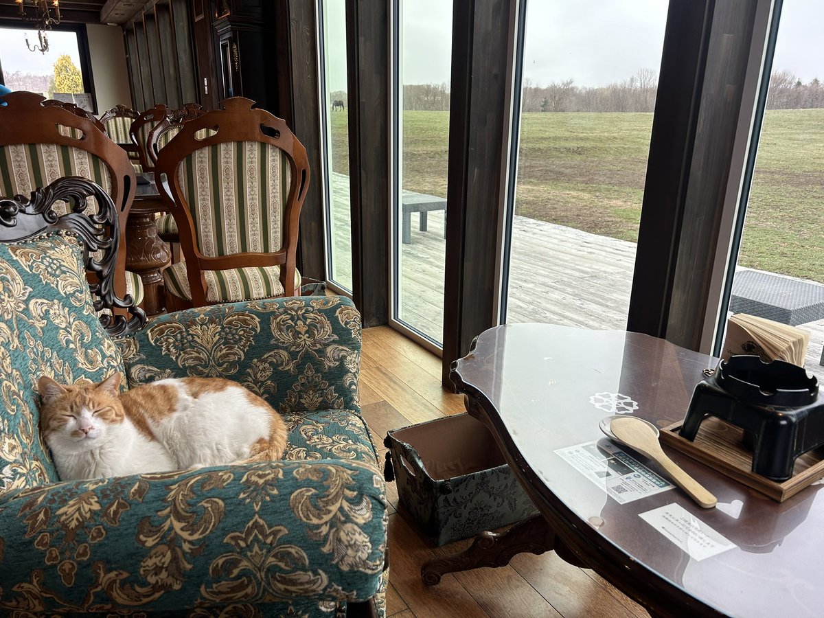 ウサマック tweet media