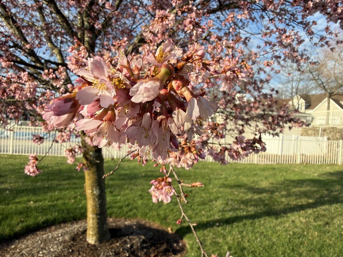 Caitlin Hoey tweet media