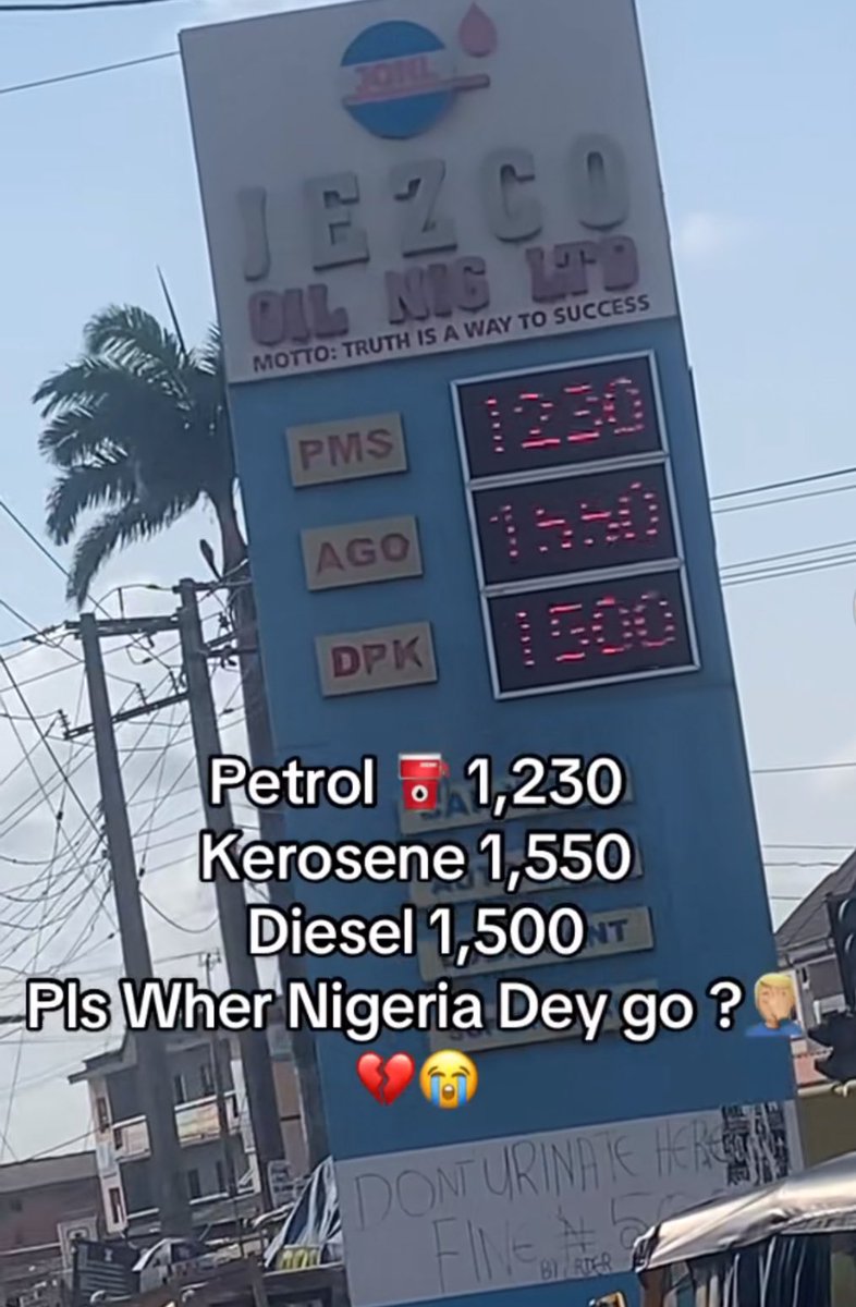 ZainabIsBeautiful(ZIB)🍀💚 tweet media