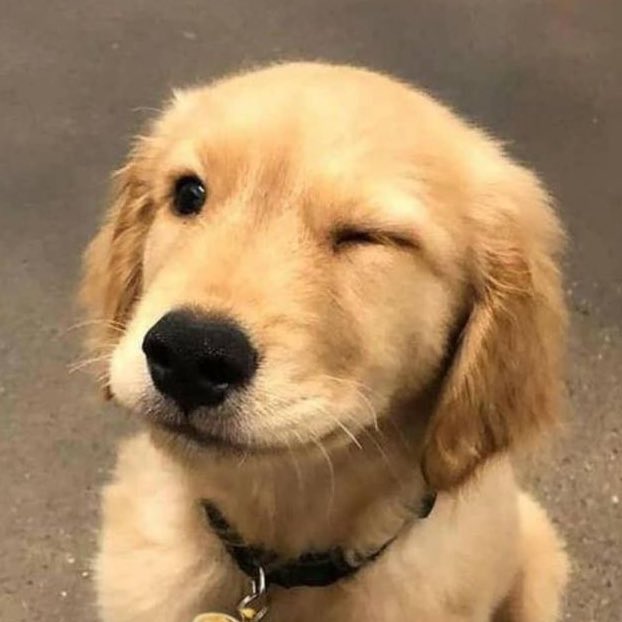 ૮ мιит ა tweet media