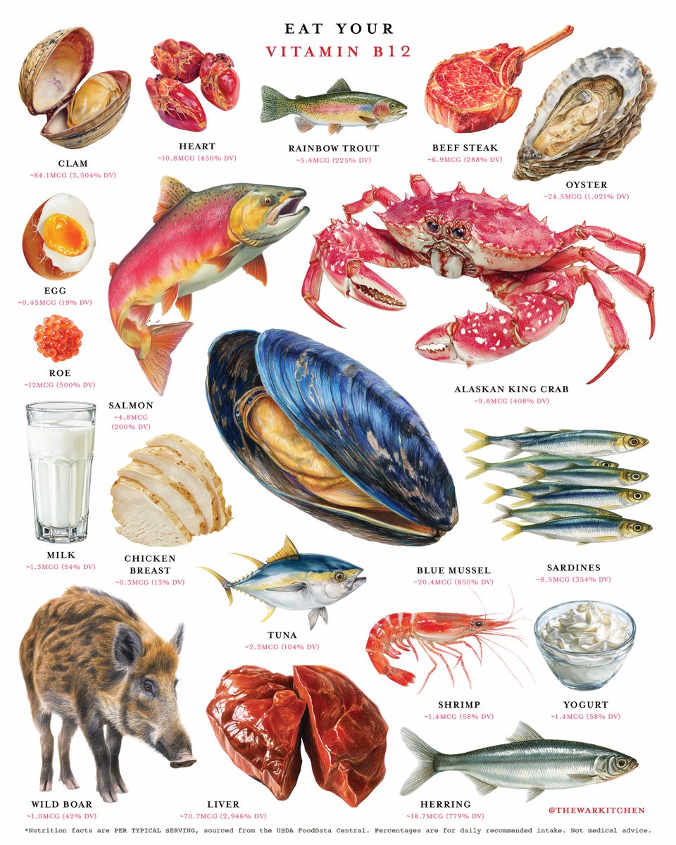 𝗥𝗢𝗖𝗞𝗬 tweet media