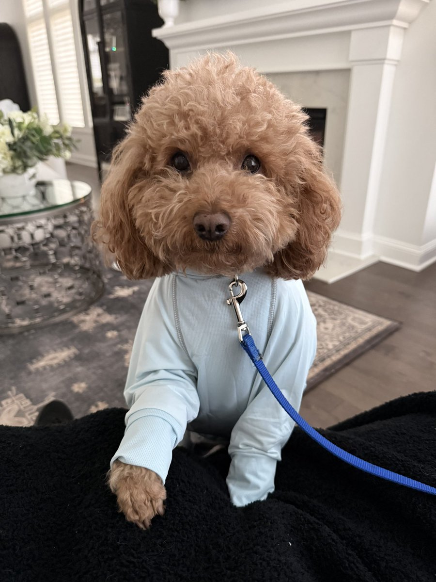 21LbsofHappyandMawm tweet media