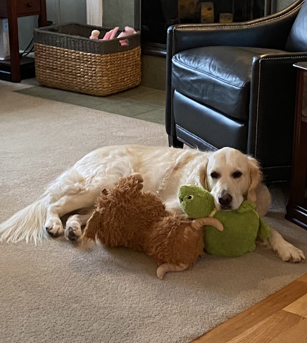 Huckleberry & Holly-berry tweet media