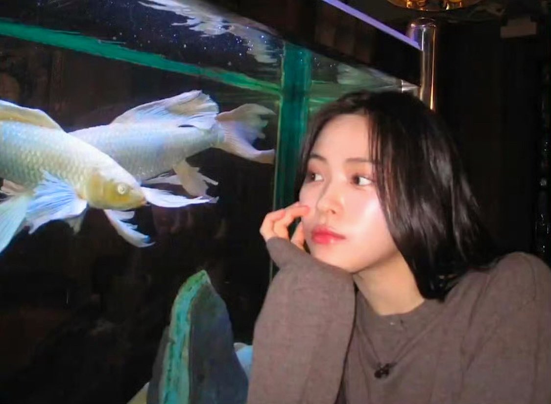 CandeeRJ ✄🪼 tweet media