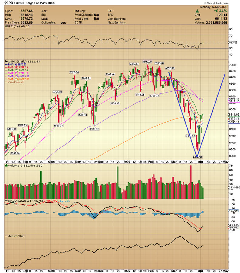 Tom Busby tweet media