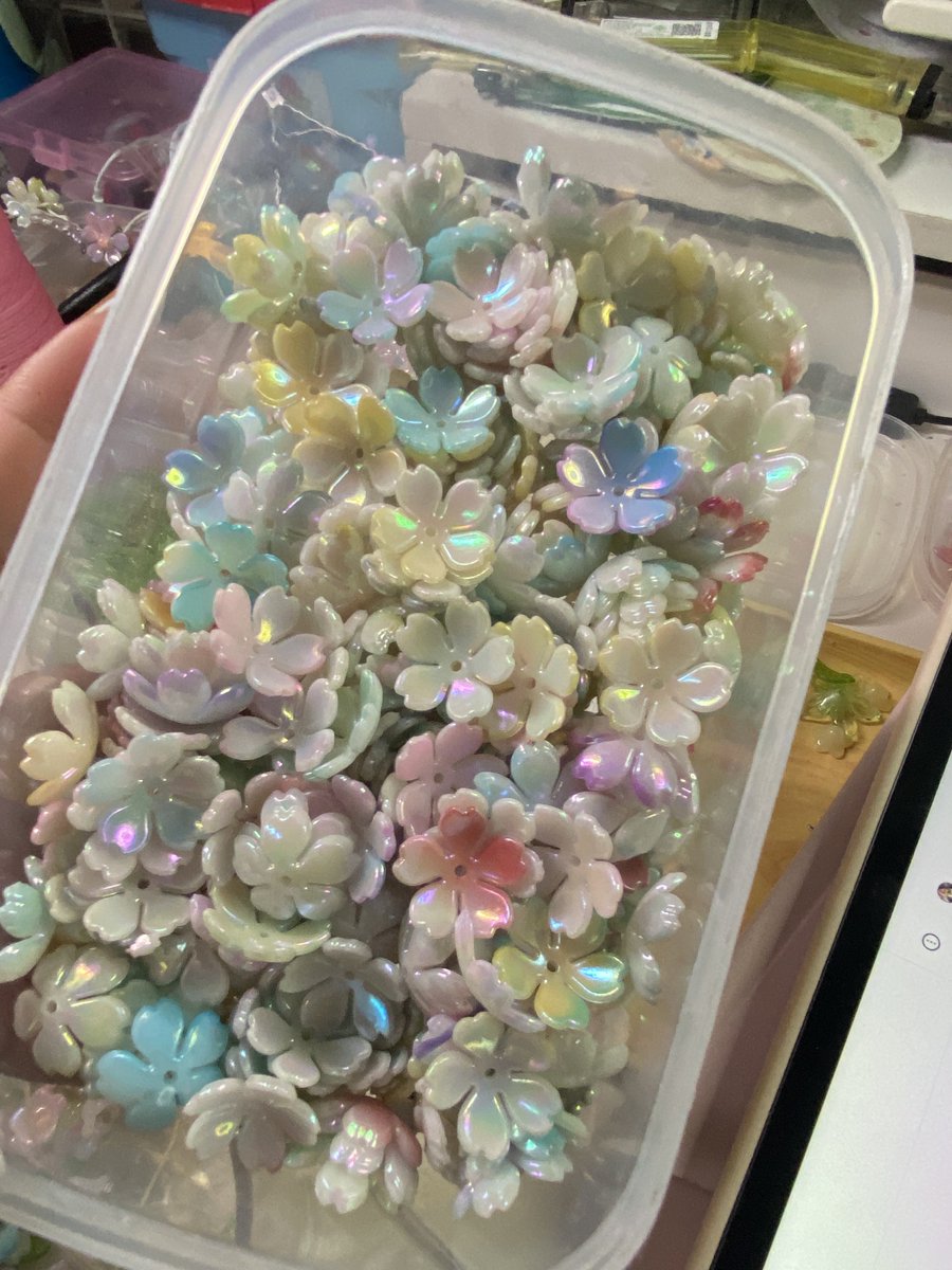 เชอรี่ 🍒 ft. BiBi tweet media